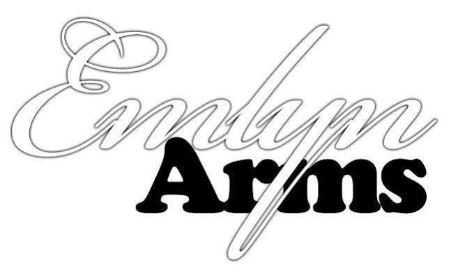 Emlyn Arms Panzió Llanarthney Kültér fotó