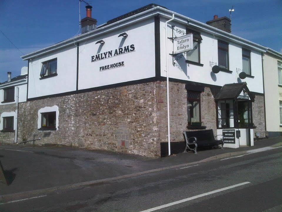 Emlyn Arms Panzió Llanarthney Kültér fotó